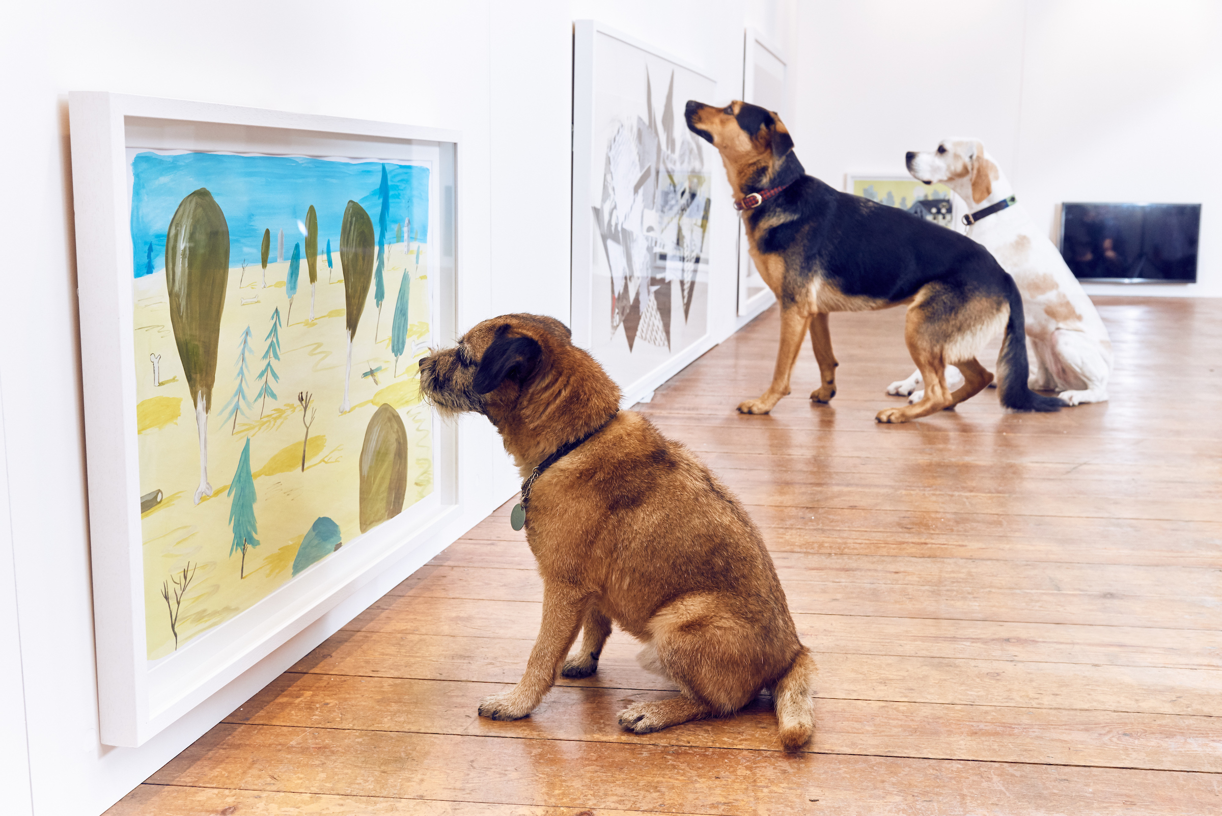 BUCK_Dogs_Exhibition-1.jpg
