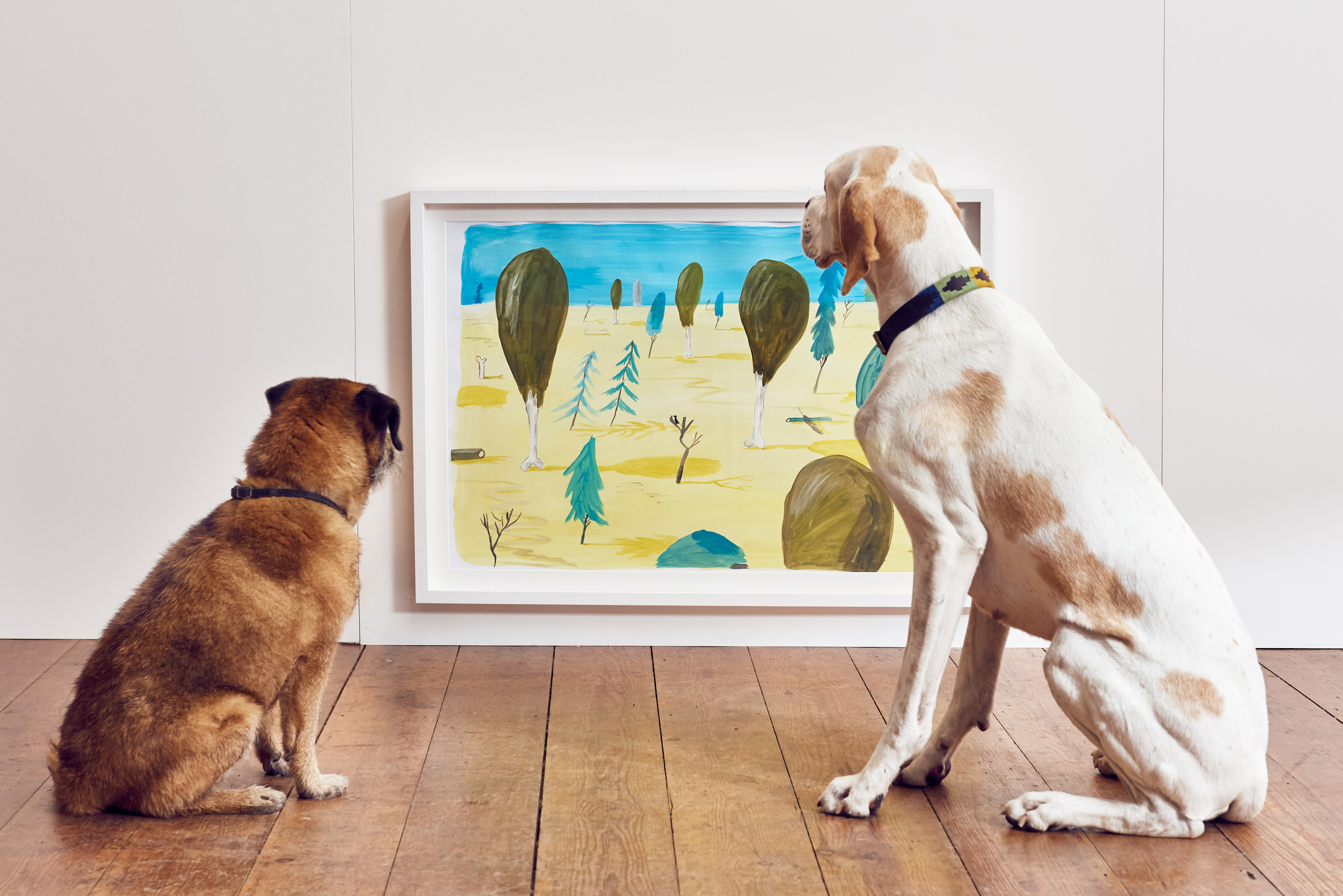BUCK_Dogs_Exhibition-2.jpg