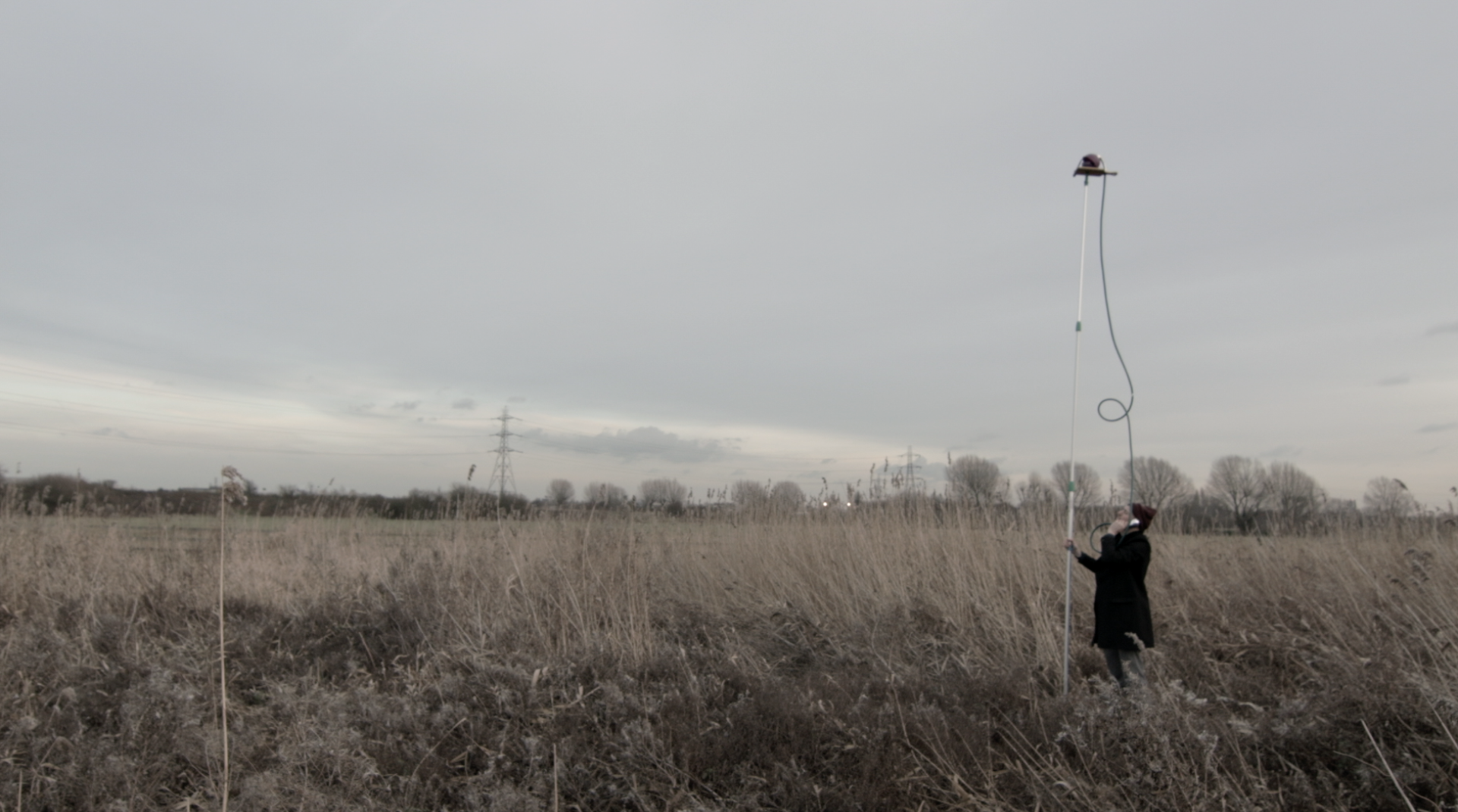 Dominic Wilcox, bird listening, inventions