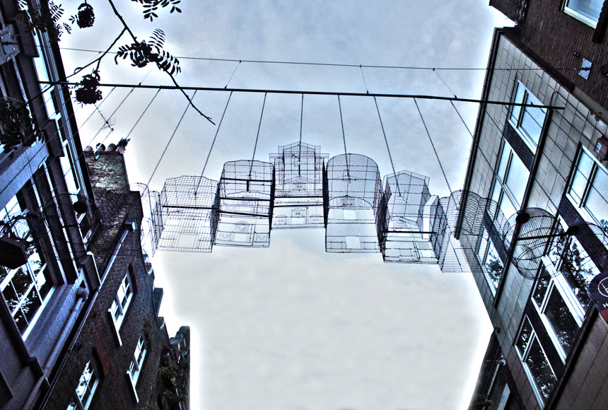 birdcages3.jpg
