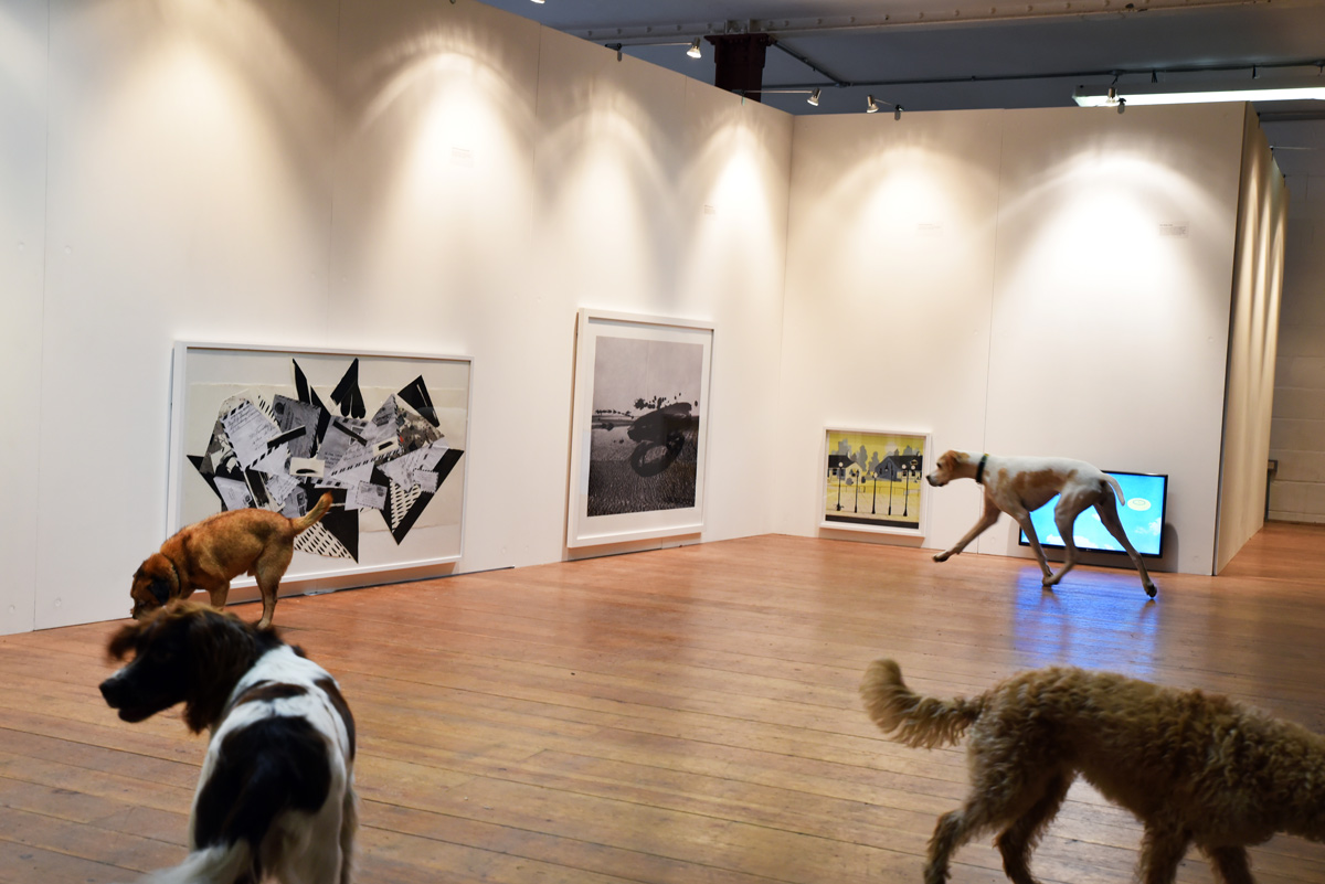 doggallery.jpg