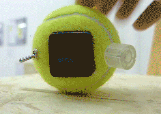 speedytennisball.gif