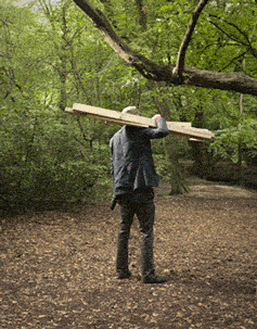 treebranchdevice.gif