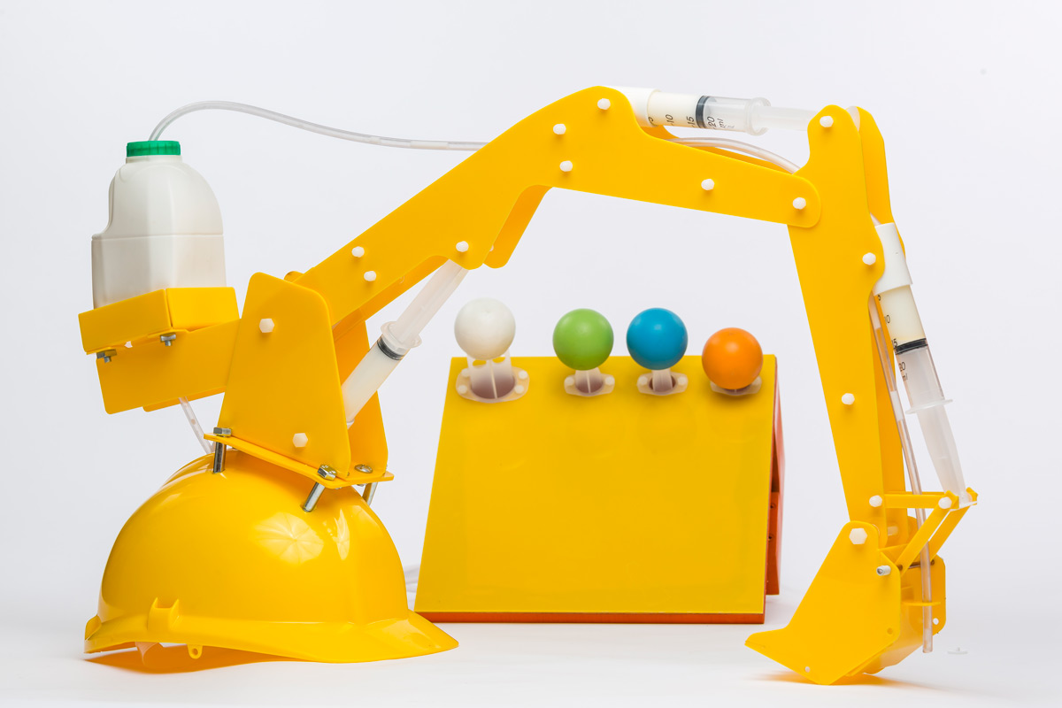 cranewhietback.jpg